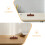 2Pz Reggipennelli in Legno Intagliato, Organizer Per Studio E Ufficio 7