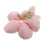 Rosa Con Fiore Per E Donne Eleganti 10