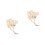 2Pz Accessorio Beige in Legno Per Pappagalli Gioco Interattivo 7