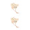 2Pz Accessorio Beige in Legno Per Pappagalli Gioco Interattivo 5