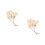 2Pz Accessorio Beige in Legno Per Pappagalli Gioco Interattivo 9