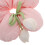 Rosa Con Fiore Per E Donne Eleganti 9