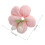 Rosa Con Fiore Per E Donne Eleganti 2