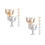 16Pz Brooch Uomo Psicologia in Per Completo E 7