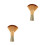 2Pz Barba E Legno Comfort Salone 7