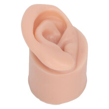 Modèle d'oreille humaine avec conduit auditif long, en silicone souple et flexible, teint moyen, parties du corps réalistes pour la pratique