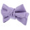 2St Paarse PU Strik Clips Voor En Elegant 3