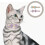 8Pcs Breathable Decorative Pet Collar Adjustable with Bow Tie 11