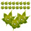 500Pz in Verde Per Fiori Artificiali E Lavoretti DIY 3