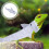 4Pz Costume Pet A Squalo in Feltro Chiaro Per 8