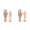4Pz Modellini Artistici in Legno Beige Con E Regolabile 6