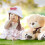 2Pz Cappello Caldo Lana Confortevole 10