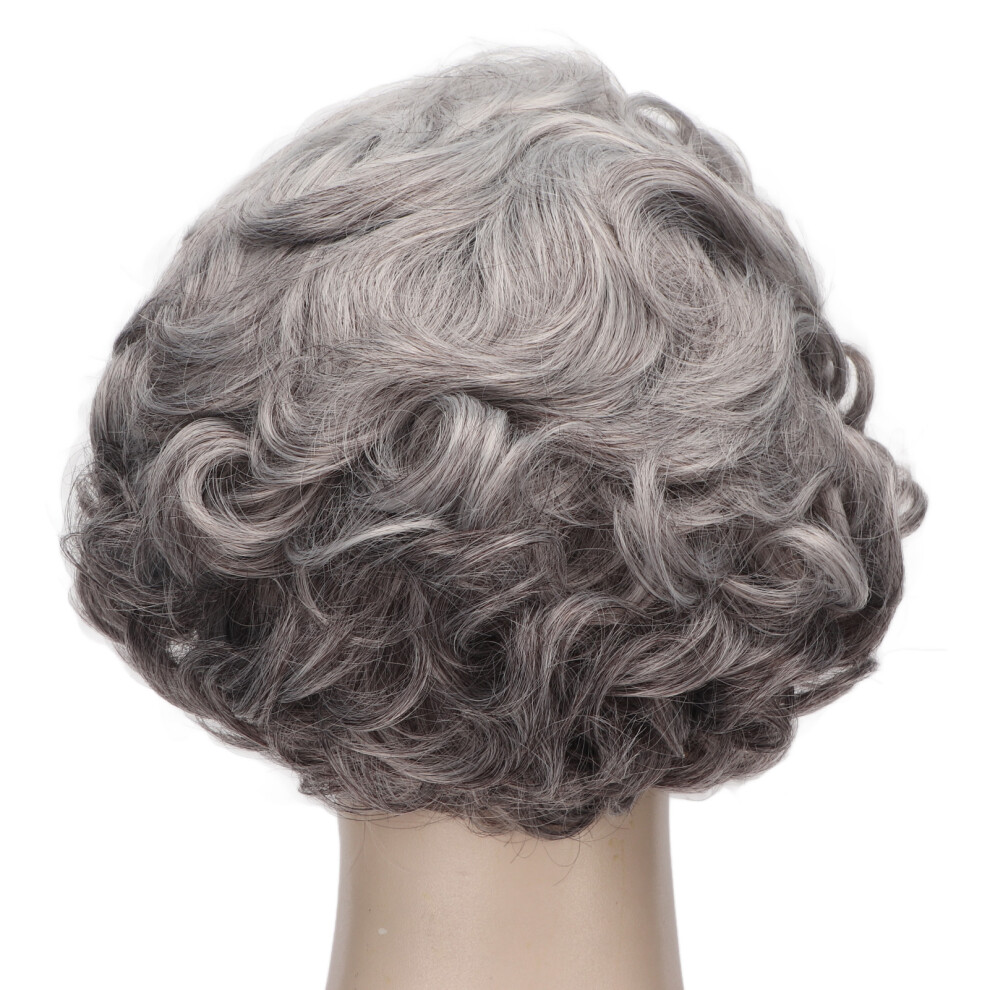 Unisex Women Short Curly Synthetic Wig For Casual & Cosplay, Elderly Style