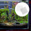 30St Stevig Mosnet Van Rvs Vis Aquarium 8