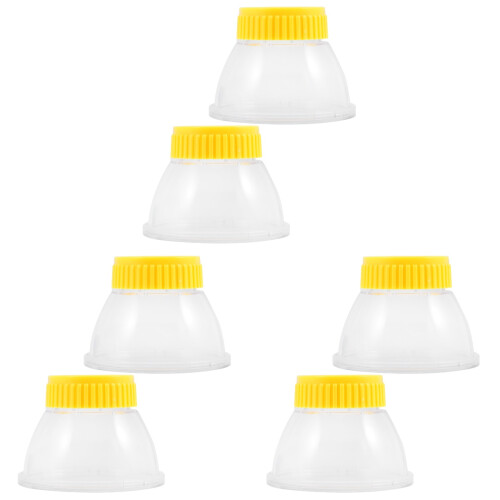 6Pz Cassetta Visione Insetti Gialla Kit Bambini 2
