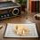 1Par Mini Pratos De Latão E Para Crianças Acessórios 7