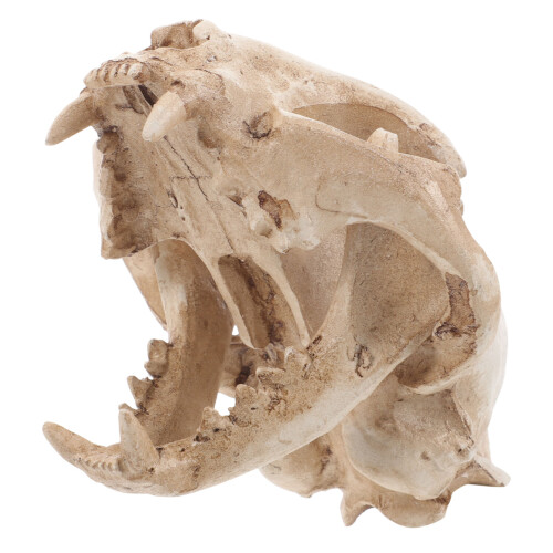 4St Handgemaakt Beige Fortuin Kat Model Resin Vis Tank Decor 1