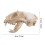 4St Handgemaakt Beige Fortuin Kat Model Resin Vis Tank Decor 11