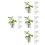 16St Duurzame Plastic Aquarium Planter Cup Aquatische 7