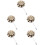 5St Decoratieve Reversspeld Kleurrijk En Stevig 8