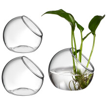 9St Plant Terrarium Rond Voor Desktop En Decoratie