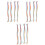 12Pz Extension Sintetica Coda Cavallo Multiuso Clip Per 3