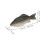 12Pz Addobbi Pesce Realistici in Per Decorativo 2