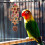 2Ud Colgantes Para Pájaros Madera Multicolor Para Jaula 9