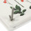 2Sets Beige Persset Voor En Blad Specimen Creaties 8