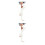 2St Witte Beenwarmers Gebreid Dames Perfect Lagen 5
