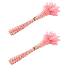 120Pcs Fall Dried Flowers Bunny Tails Dried Flowers Lagurus Ovatus Rabbit Tail Grass for Dried Floral()