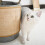 Cat Scratching Pad Wall Mounted Scratchers Board Scratching Post 7