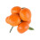 Simulation mousse mandarine fruits réalistes pour-6 oranges 1