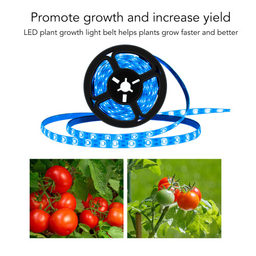 5V LED Grow Light for Plants with Memory Function & Adjustable Brightness 2