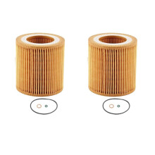 2X 11-42-7-953-129 Engine Oil Filter For- F22 F23 F30 F34 228I 320I 328I 428I 428I 528I X1 X3 Z4 11427953129