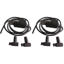 2X Zünd Spule GSX GTX SPX XP 787 800 für JETSKI JET SKI JETBOAT JET BOAT 2780001130 278000383 B