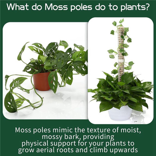 16 Pieces Moss Pole Coir Moss Pole Stick Stackable Plant Stakes Monstera Plant Support Plastic Sphagnum Moss Pole 2