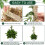 16 Pieces Moss Pole Coir Moss Pole Stick Stackable Plant Stakes Monstera Plant Support Plastic Sphagnum Moss Pole 5