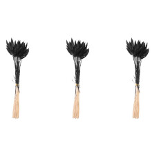 180 Stuks Herfst Gedroogde Bloemen Konijnenstaarten Gedroogde Bloemen Lagurus Ovatus Konijn Staart Gras voor Gedroogde Bloemen (Zwart)