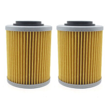 2X Oil Filter Fit for Odes LZ800 RM800 800 ATV UTV Liangzi SIDE BY SIDE Dominator Raider Assailant ENGINE 21040111601