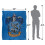 Harry Potter Harry Potter Ravenclaw Painted Blanket 4