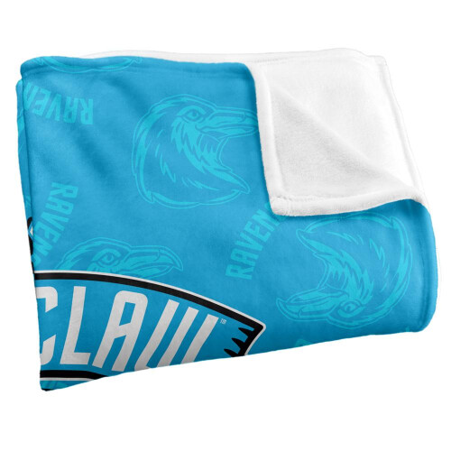 Harry Potter Harry Potter Learning, Wisdom, Wit Ravenclaw Blanket 1
