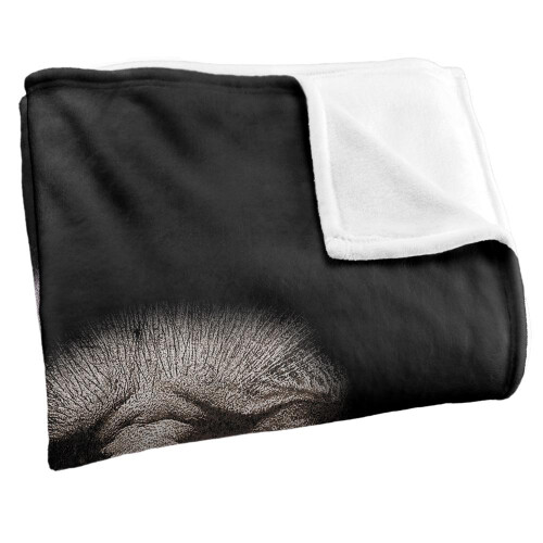 Harry Potter Harry Potter Group Shot Death Eater Blanket 2