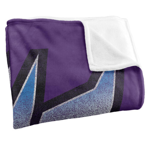 Transformers Transformers Decepticon Logo Blanket 1