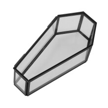 Multifunctional Black Glass Coffin Display Case Unique Glass