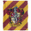 Harry Potter Harry Potter Gryffindor Striped Blanket 1