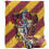 Harry Potter Harry Potter Gryffindor Striped Blanket 3