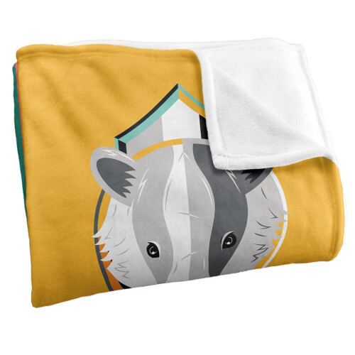 Harry Potter Harry Potter Bold Hogwarts Houses Blanket 1