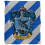 Harry Potter Harry Potter Ravenclaw Striped Blanket 1