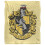 Harry Potter Harry Potter Ravenclaw Painted Blanket 1